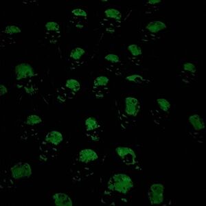 Glow in the Dark Skull Spiders T-Shirt